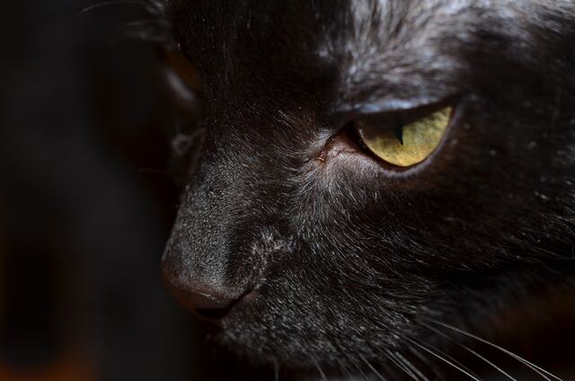 Charlie